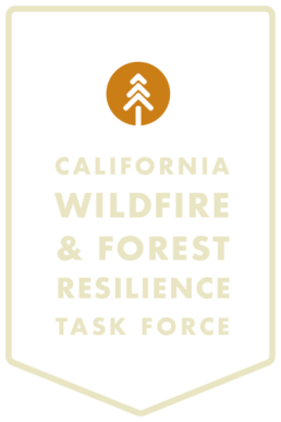 Task Force Logo