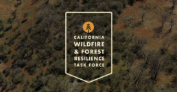 photo of dry forest with Wildfire Task Force logo