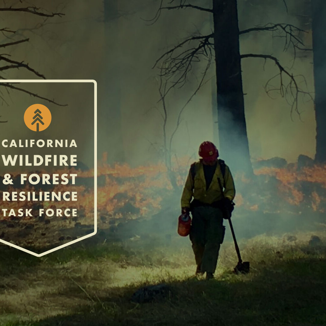 photo of fire fighter in forest with logo of The California Wildfire and Forest Resilience task force logo