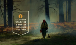 photo of fire fighter in forest with logo of The California Wildfire and Forest Resilience task force logo