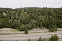 photo of forest and freeway