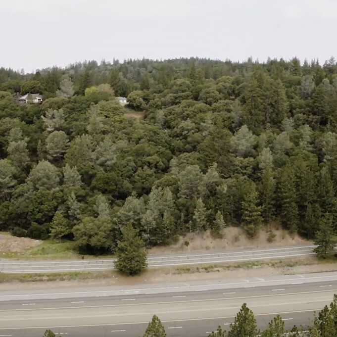 photo of forest and freeway