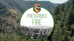 phot of CAL FIRE Prescribed Fire