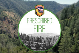 phot of CAL FIRE Prescribed Fire