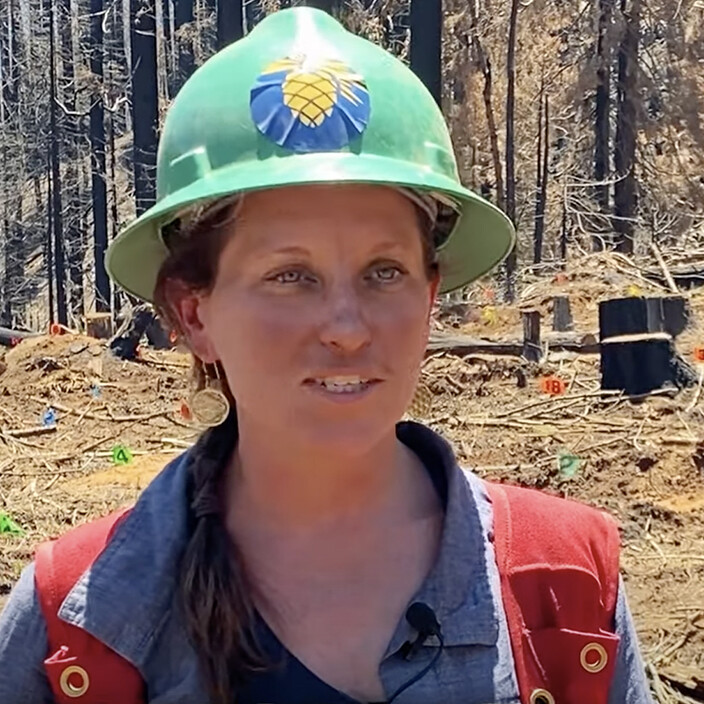 photo of woman standing in recently cut forest project