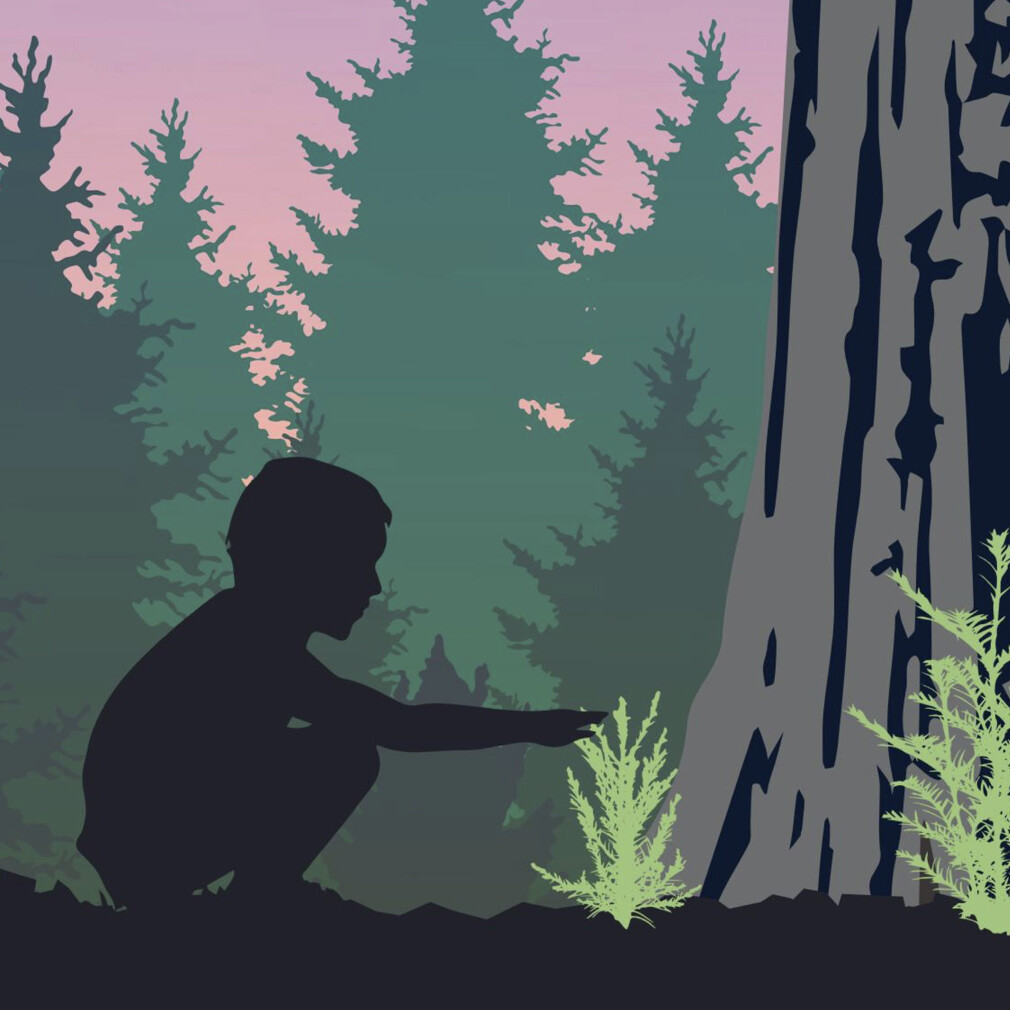 illustration of child in forest