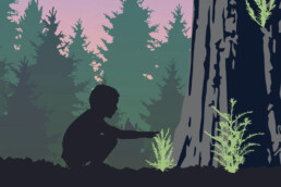 illustration of child in forest