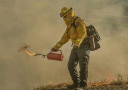 Photo of CalFire worker starting a controlled burn