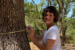 woman measuring three trunk