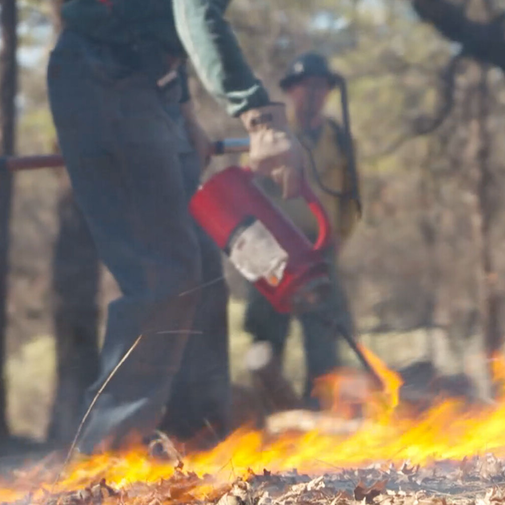 photo of person starting a prescribed fire burn