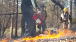 photo of person starting a prescribed fire burn