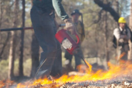 photo of person starting a prescribed fire burn