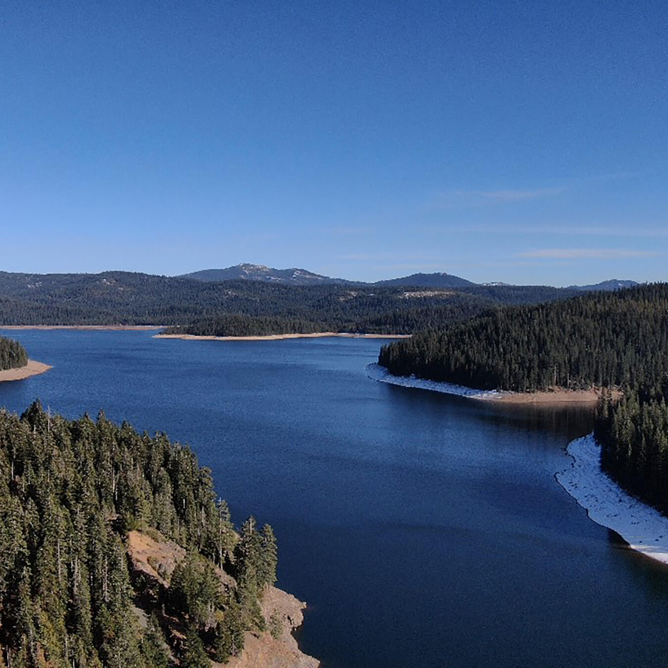 forest and lake