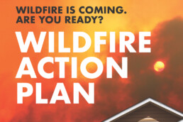 Wildfire action plan