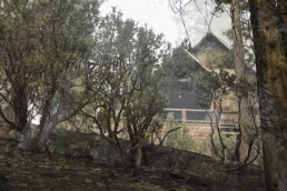 burn near home