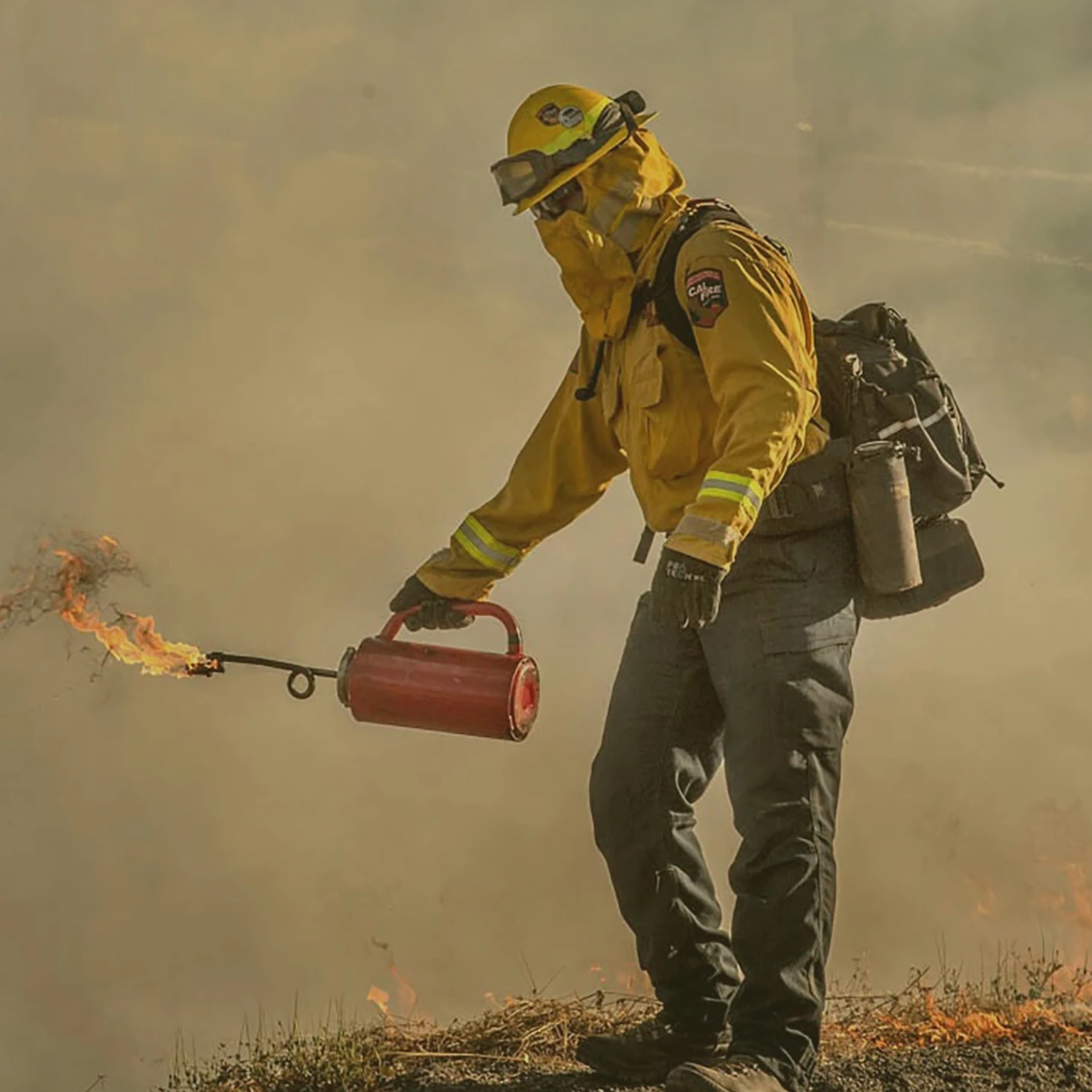 Cal Fire controlled burn