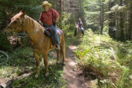 Man on horseback