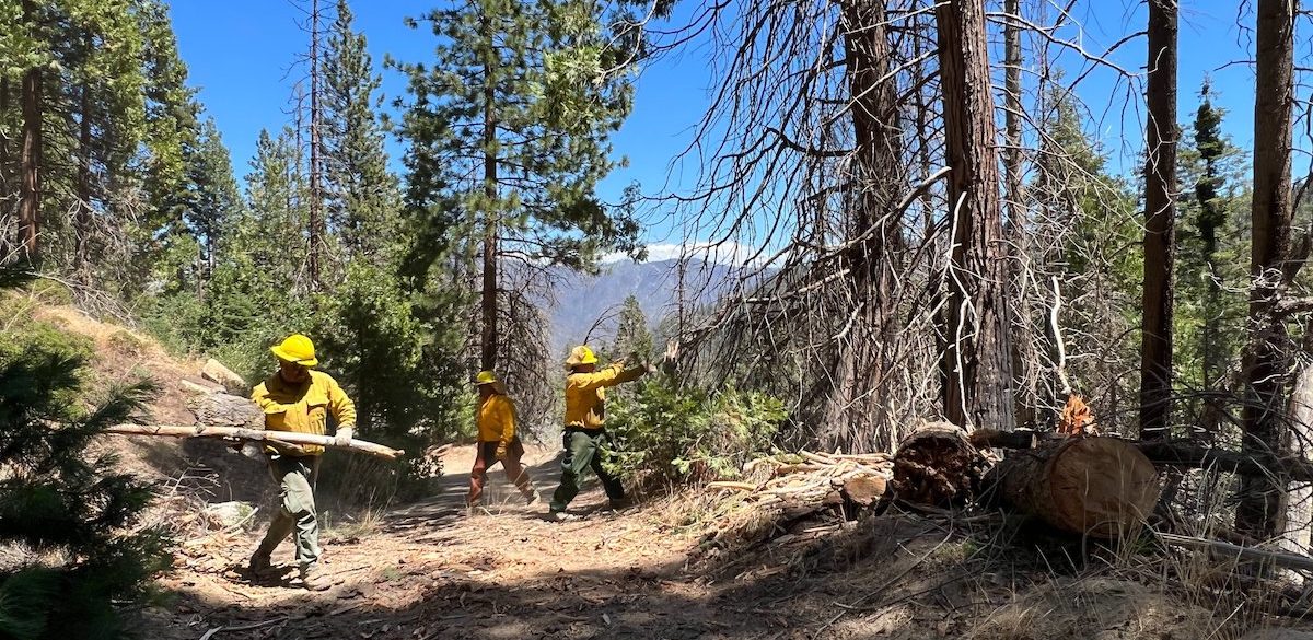 Post Fire Recovery Efforts