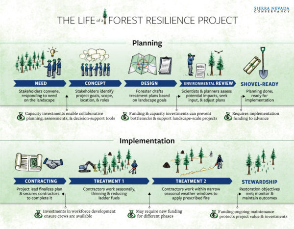 SNC Infographic Portrays Life of a Forest Resilience Project ...