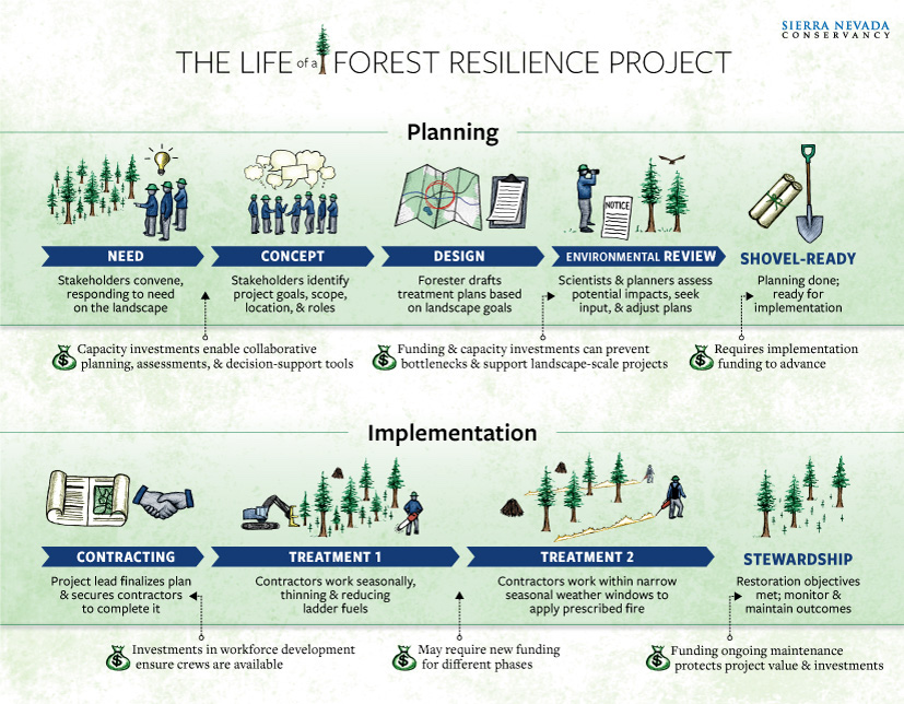 Life of a Forest Resilience Project