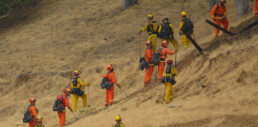 Cal Fire fire fighters fighting wild fires
