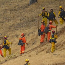 Cal Fire fire fighters fighting wild fires