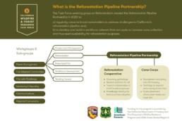What is the Reforestation Pipeline Partnership? Chart