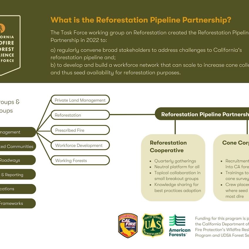 What is the Reforestation Pipeline Partnership? Chart