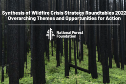 Synthesis of Wildfire Crisis Strategy Roundtables 2022 Overarching Themes and Opportunities for Action ( National Forest Foundation) Header