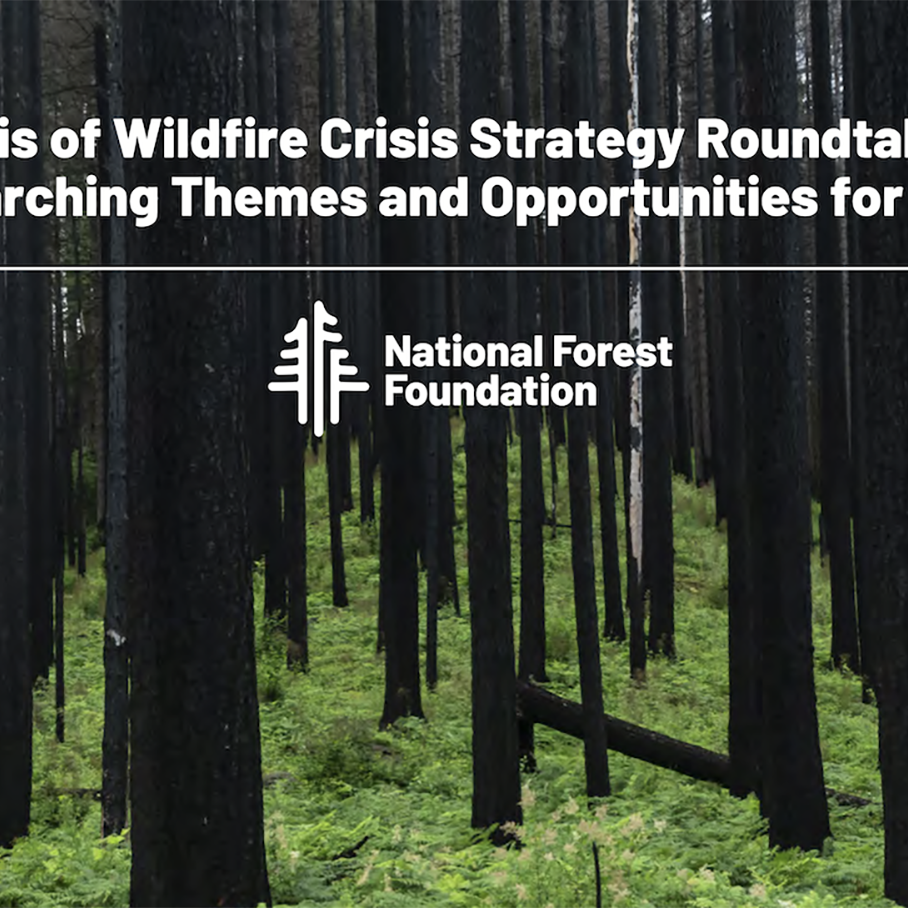 Synthesis of Wildfire Crisis Strategy Roundtables 2022 Overarching Themes and Opportunities for Action ( National Forest Foundation) Header