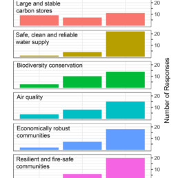 Stakeholder Input on Priority Areas of Invesment Histogram