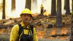 Man Standing in Front of Burning Trees