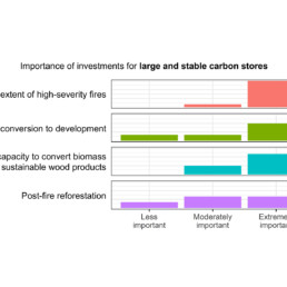 Importance of Investments for Large and Stable Carbon Stores Histogram