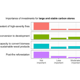 Importance of Investments for Large and Stable Carbon Stores Histogram