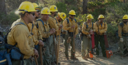 Group of Firefighters in a Line