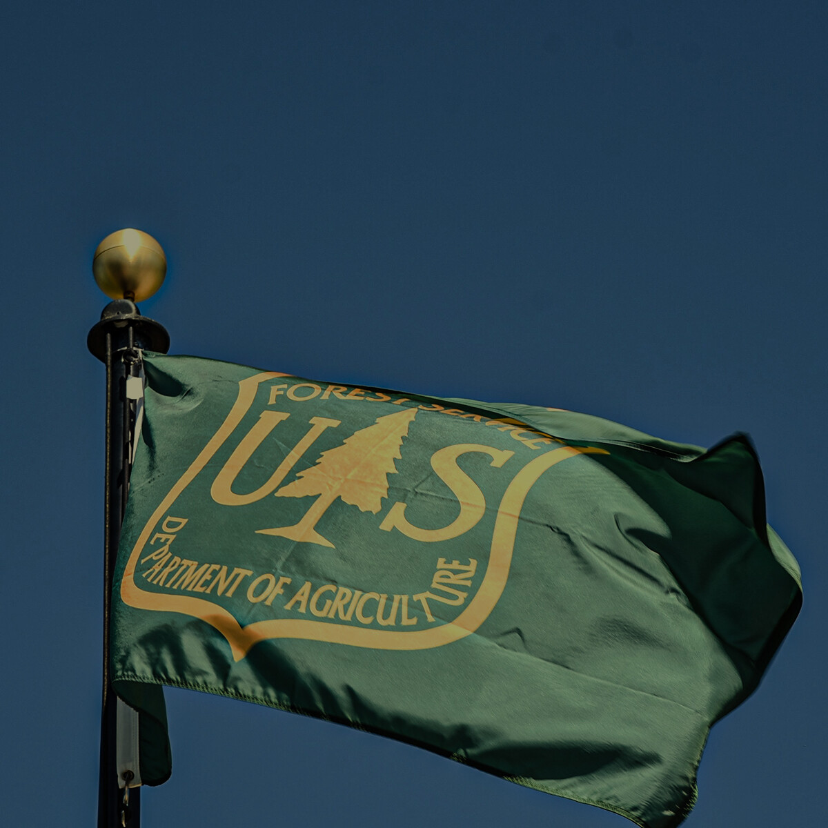 Roosevelt Arizona 9/28/19 US Forest Service flag a division of the US Agriculture Department