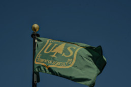 Roosevelt Arizona 9/28/19 US Forest Service flag a division of the US Agriculture Department