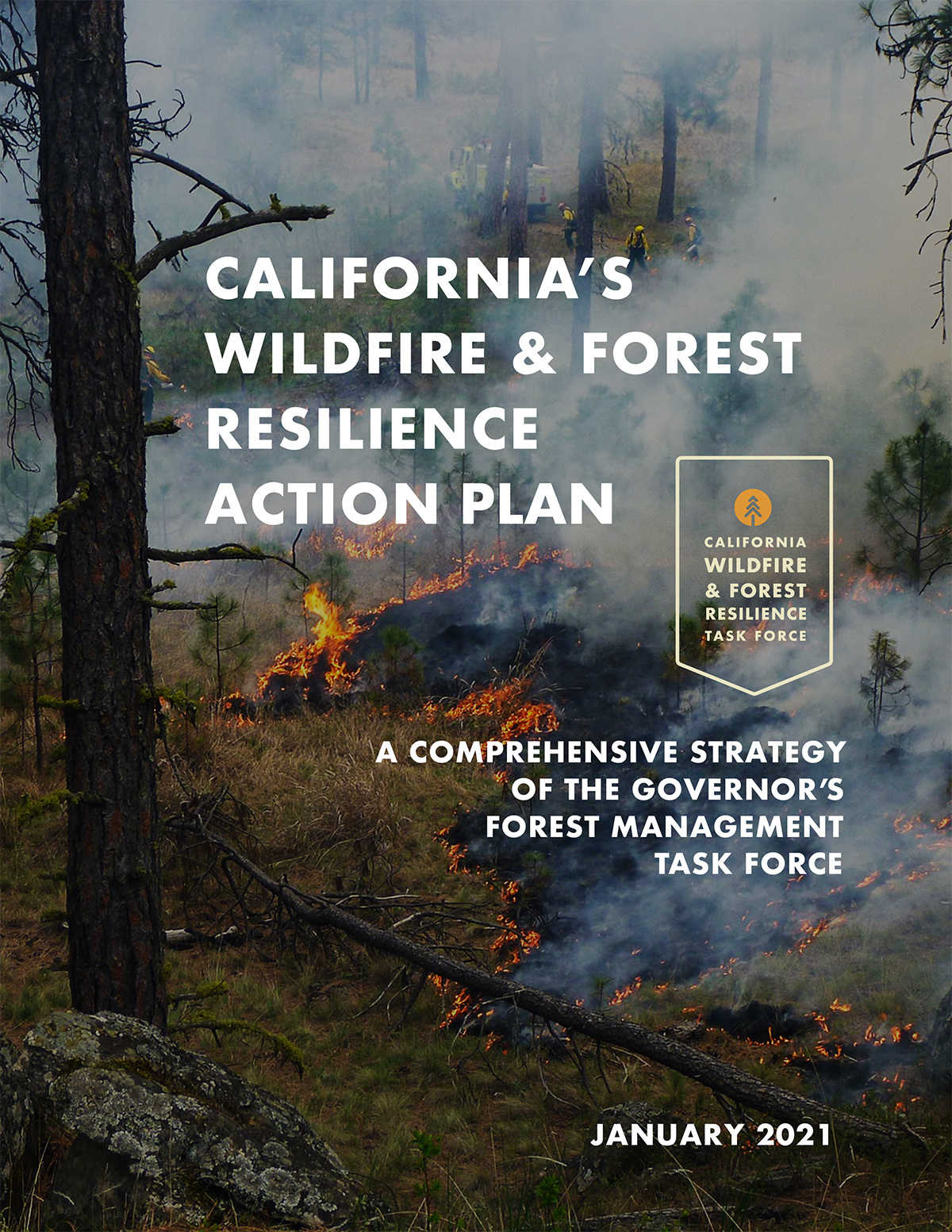 California's Wildfire & Forest Resilience Action Plan Cover