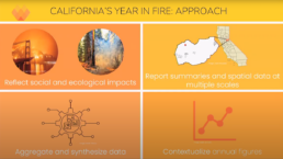 CA's Year in Fire graphic