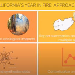 CA's Year in Fire graphic