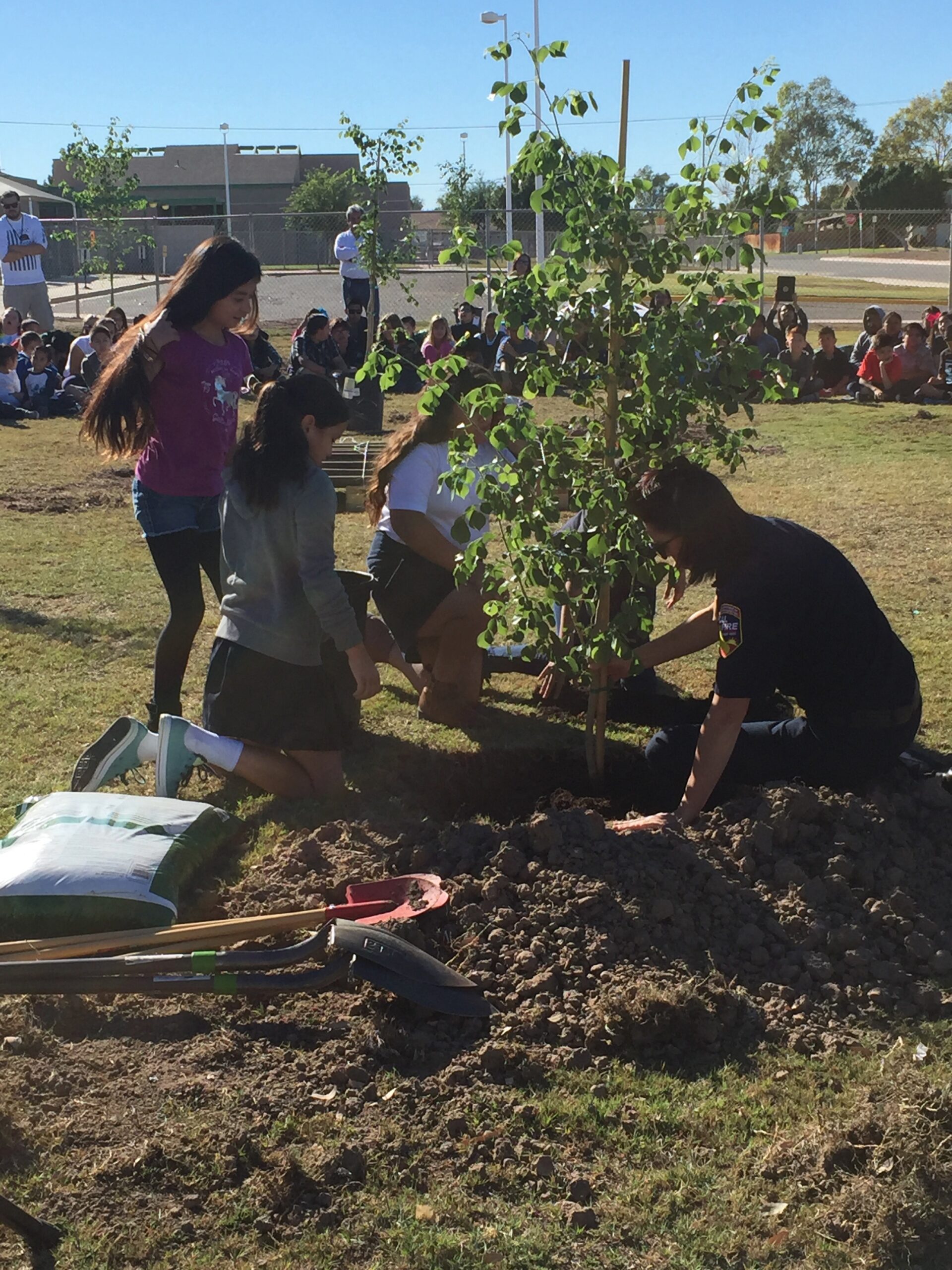 CalFire Planting Trees with Kids