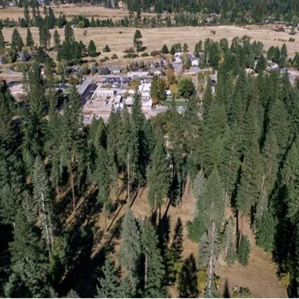 Overhead photo to Trees and Small Town