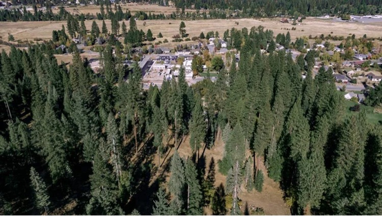 Overhead photo to Trees and Small Town