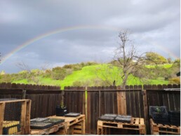 Backyard with a view of a green hill and rainbow