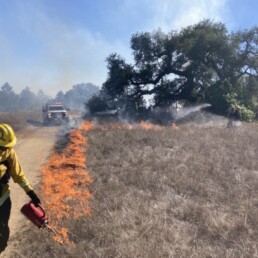 Firefighter starting prescribed fire with truck following behind