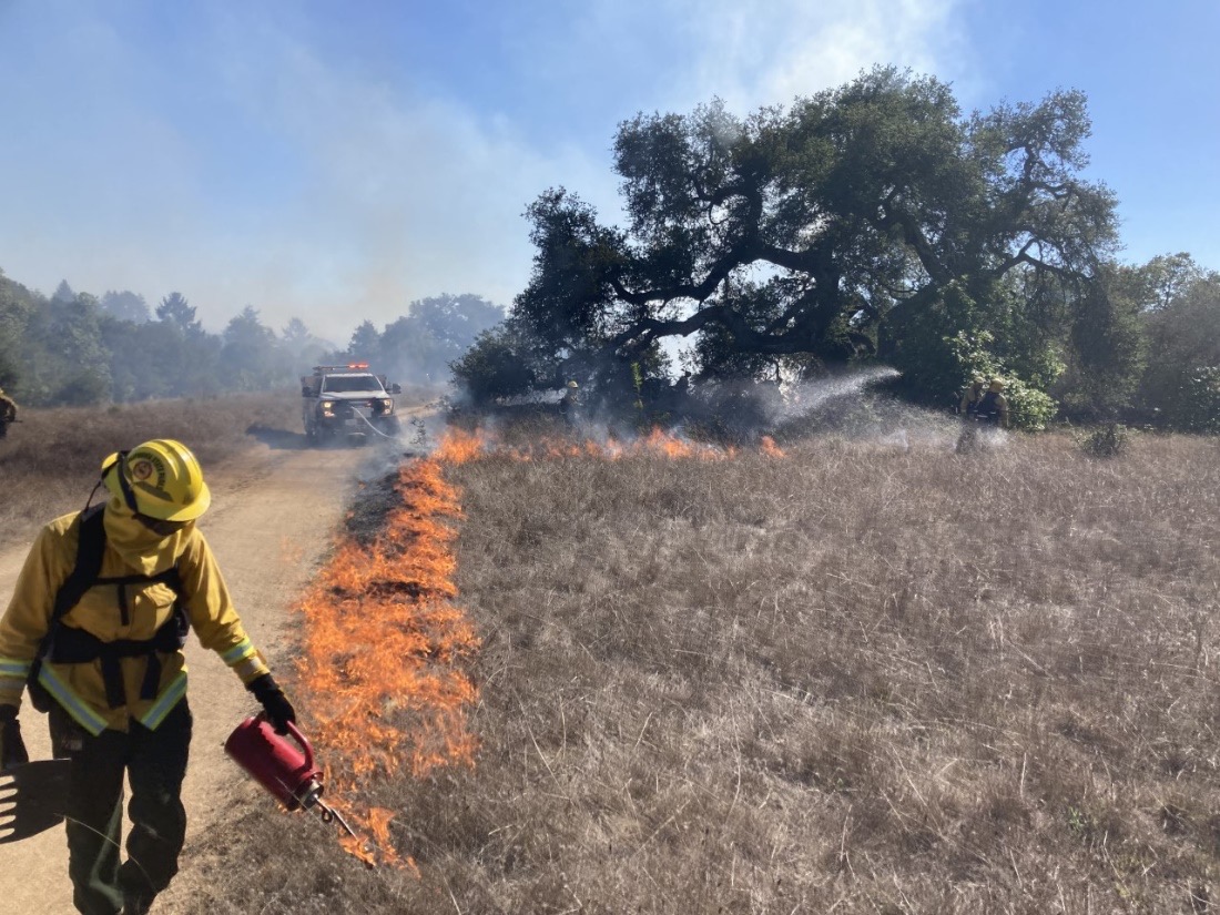 Firefighter starting prescribed fire with truck following behind