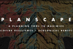 Planscape Header (A Planning Tool to Maximize Wildfire Resilience + Ecological Benefits)