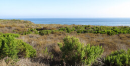 Crystal Cove State Park