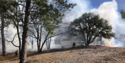 Firefighters Starting Prescribed Fires
