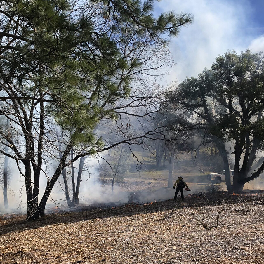Firefighters Starting Prescribed Fires